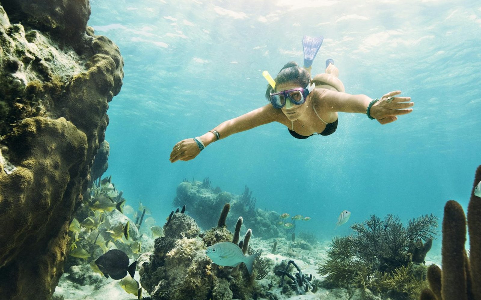 Cancún: MUSA Underwater Museum, Jungle Speedboat & Snorkel Tour