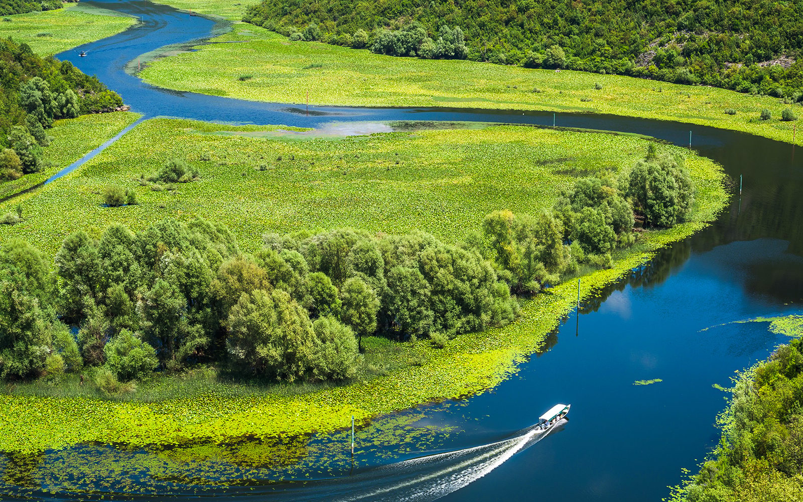 From Kotor/Budva/Tivat/Herceg Novi: Lake Skadar & Biograd Day Trip with Boat Ride