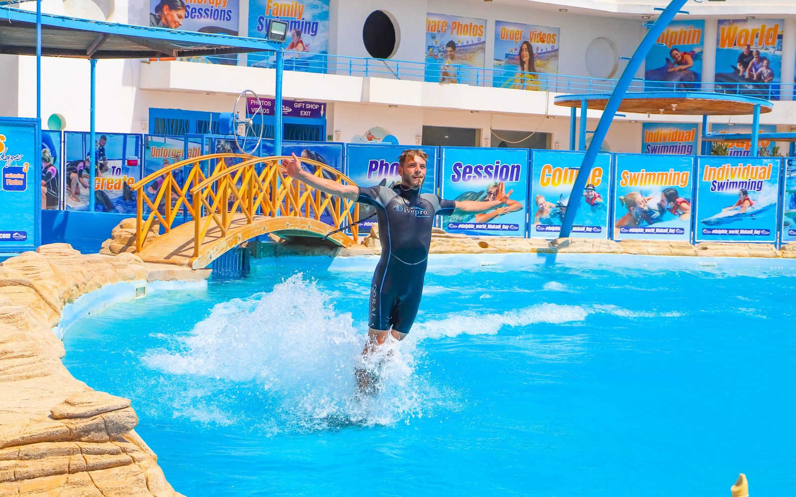 Hurghada Ultimate Dolphin Experience with Dolphin Show, Swimming Experience & Photo Session with Transfers