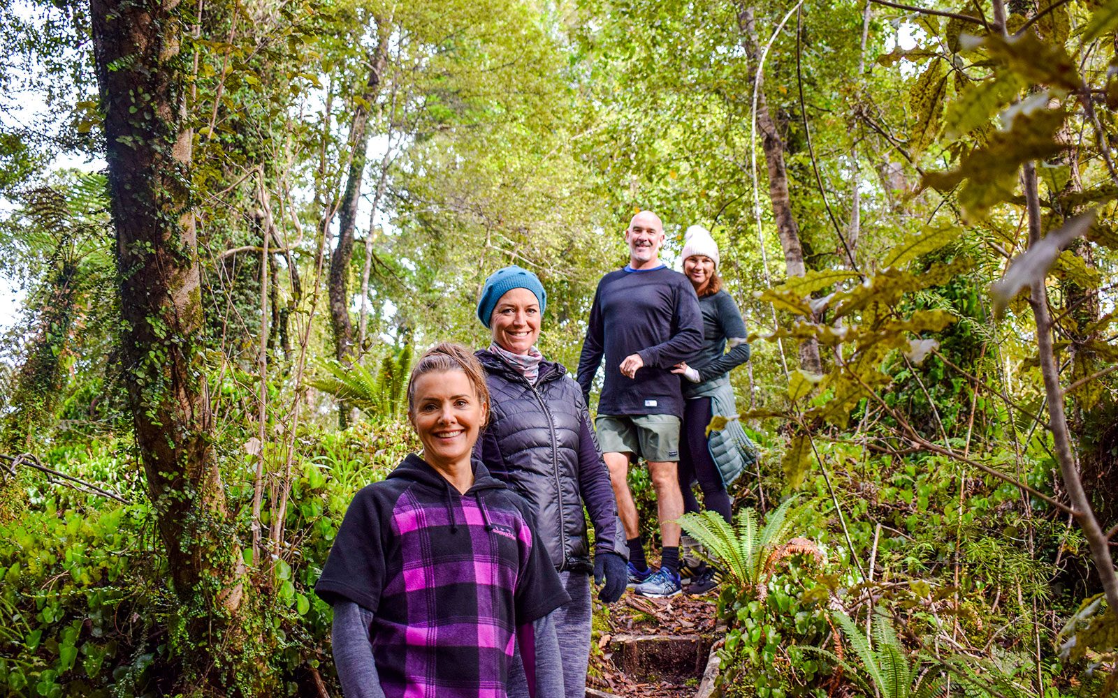 Franz Josef Scenic Cruise & Guided Rainforest Walk