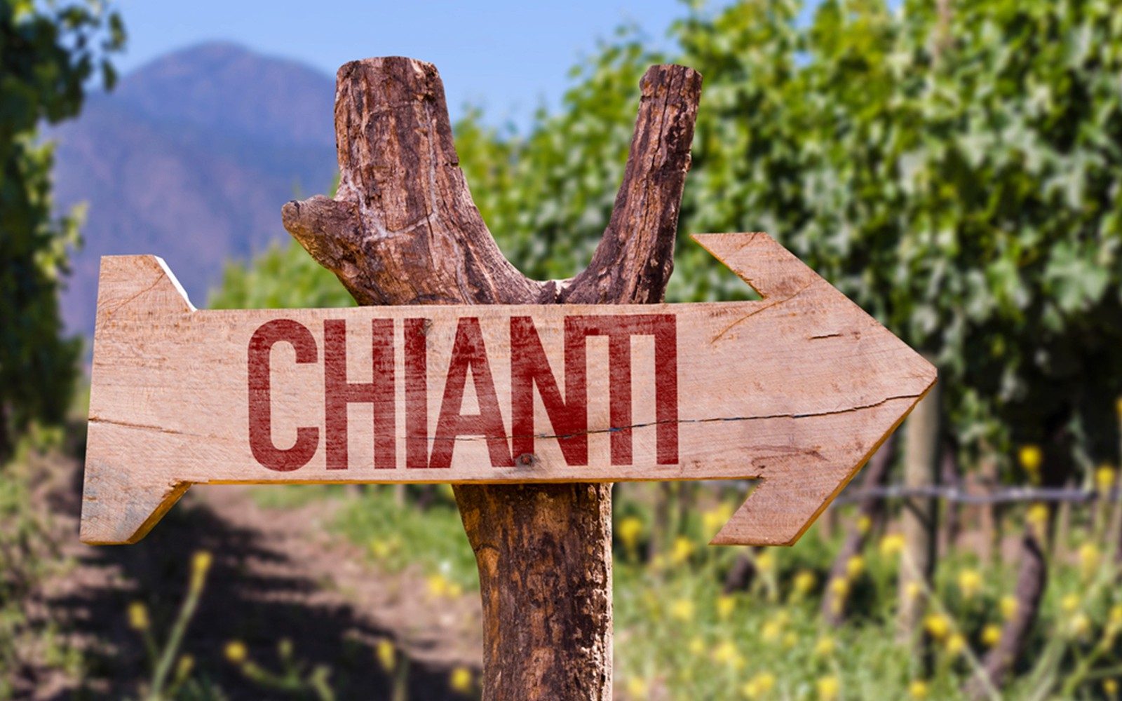 Chianti Region Guided Tour with Local Tastings and Vineyards