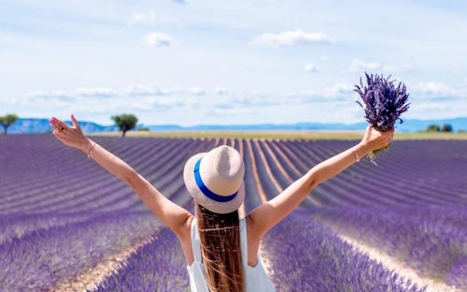 Πεδία Λεβάντας Valensole: Καθοδηγούμενη ημερήσια εκδρομή από το Aix-en-Provence