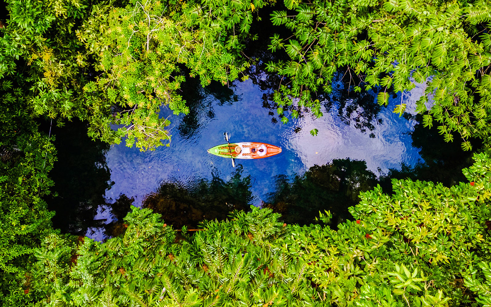 Krabi: Kayak Adventure through Ao Thalane Mangrove Forest