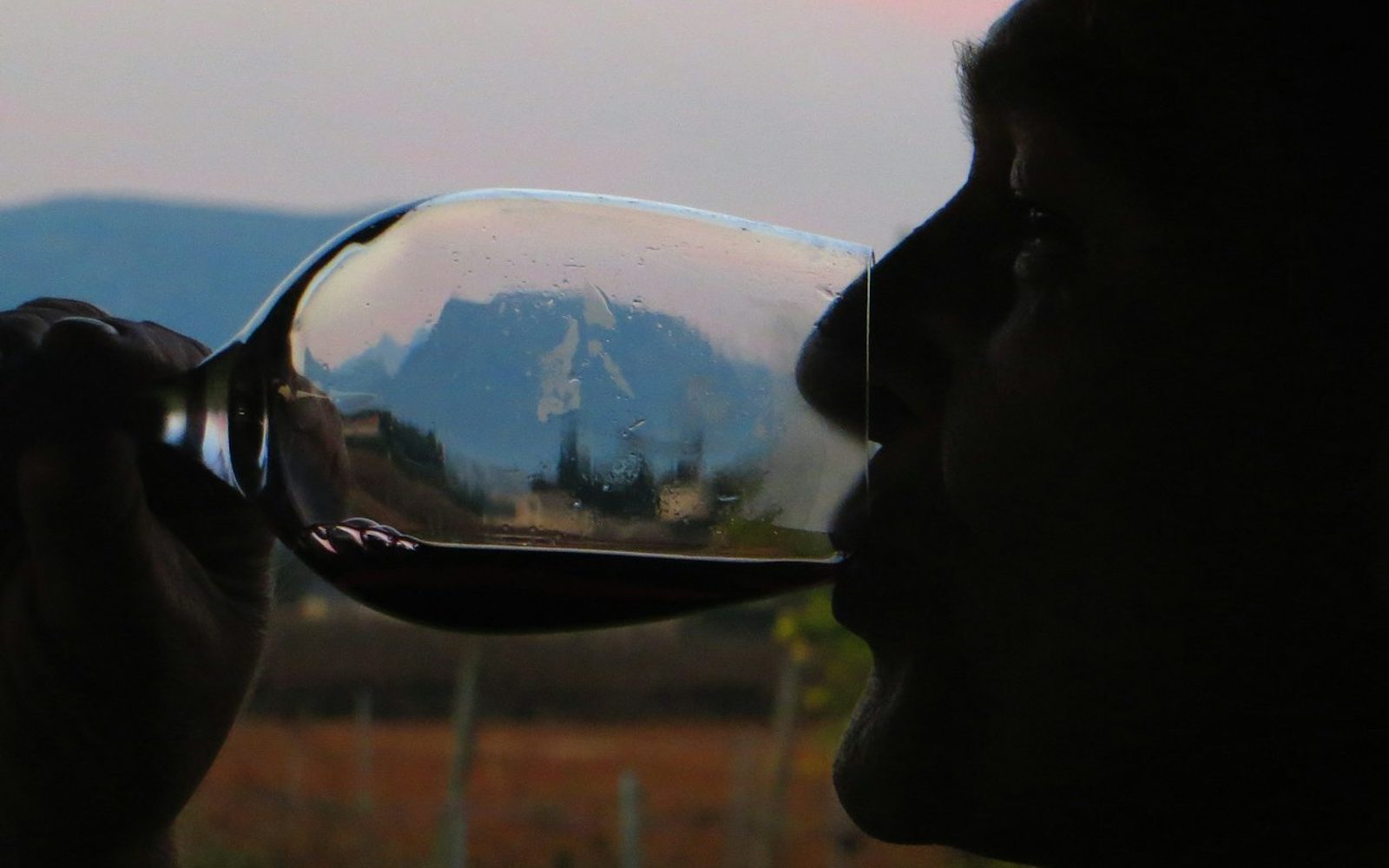 Mallorca: Guided Winery Tour + Transfer + Wine Tasting