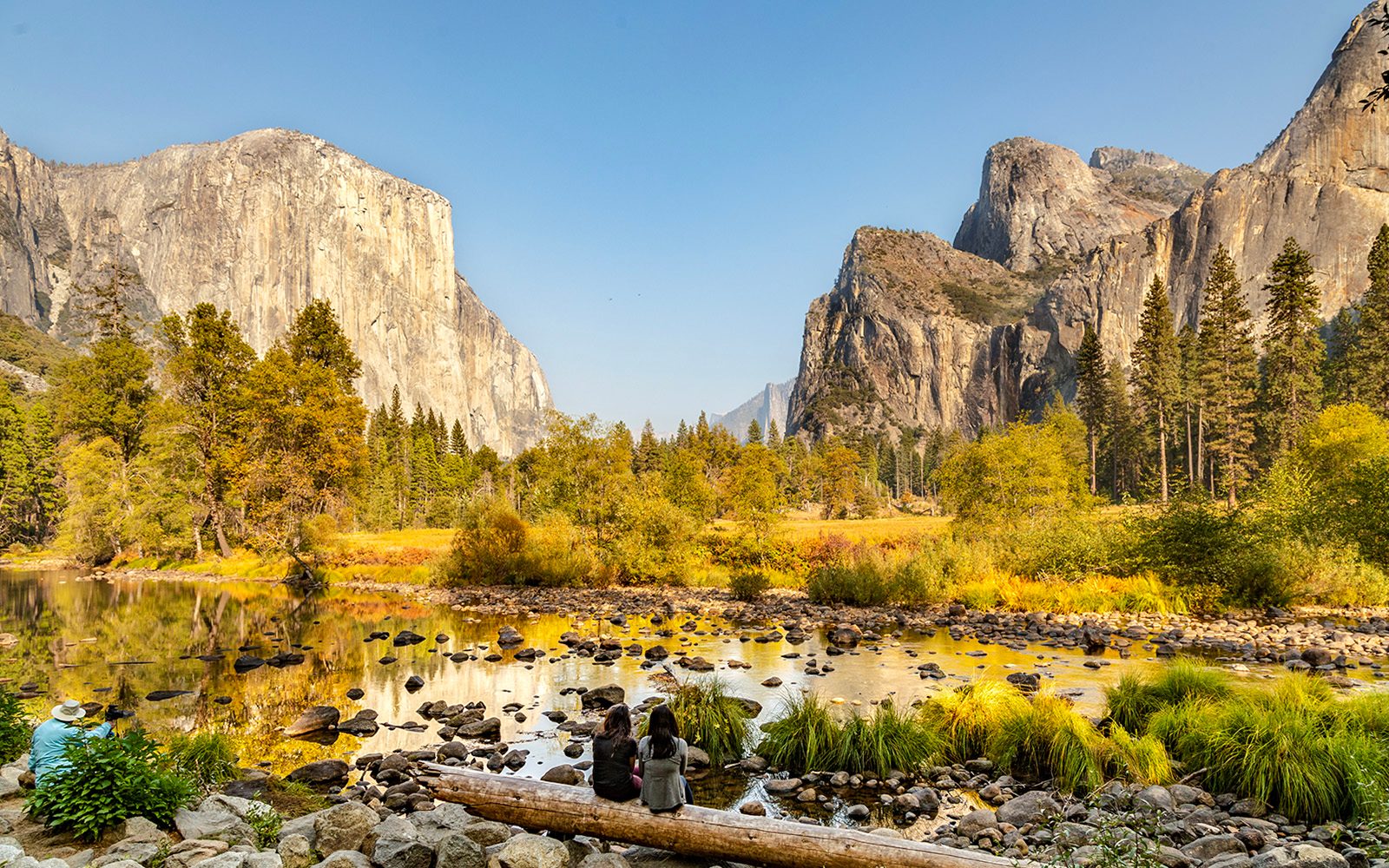 From Yosemite: San Francisco One-Way Tour with Giant Sequoias Hike