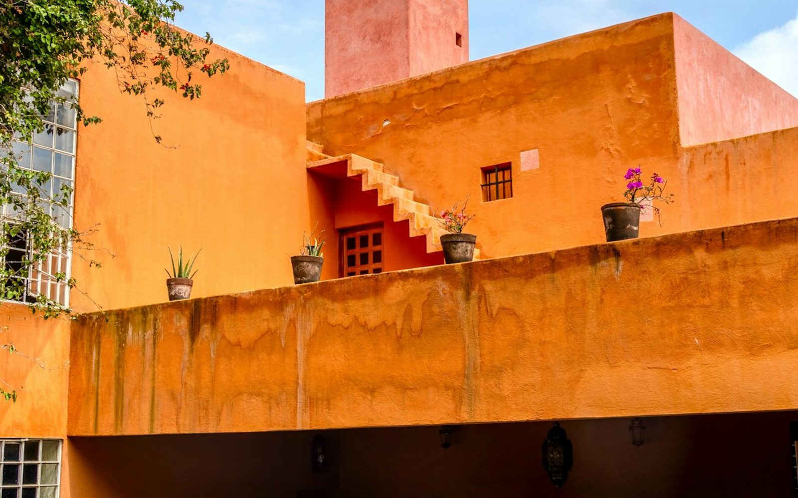 Casa Ortega: Luis Barragan Legacy Guided Tour