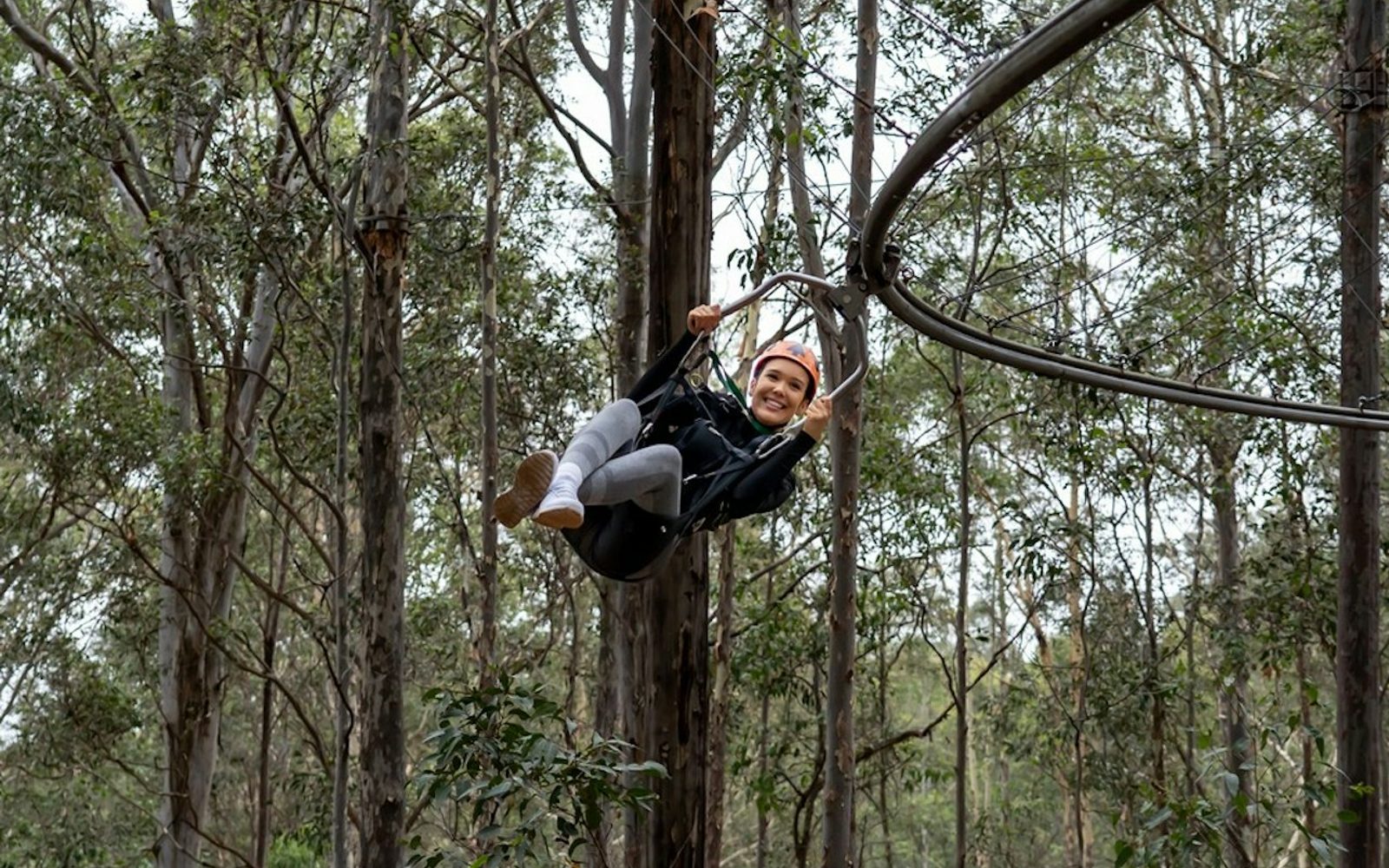 Treetops Adventure Central Coast: Zipcoaster Ride