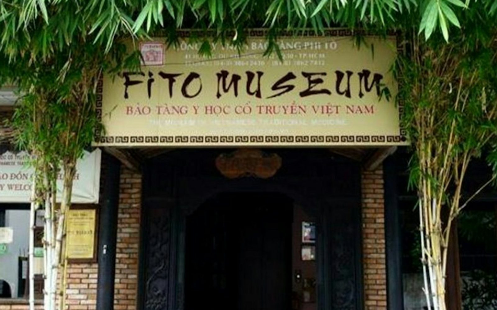 Fito Museum: Entry Ticket