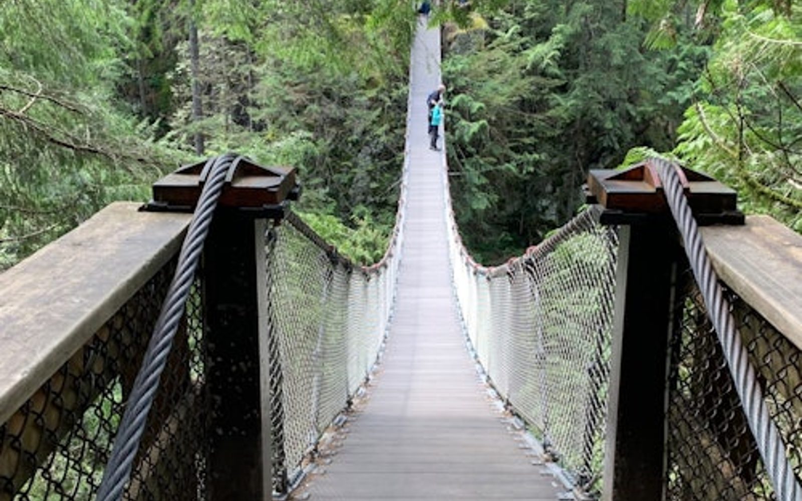 Vancouver: Caminhada Guiada pela Floresta Tropical com Cascatas e Ponte Suspensa + Transferência