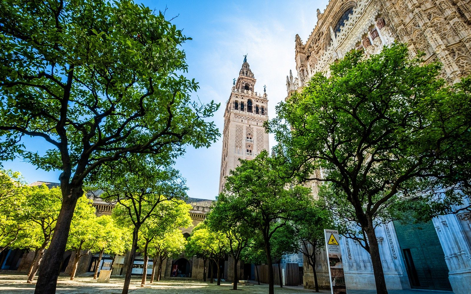 Seville Cathedral & La Giralda Priority Access Guided Tour 