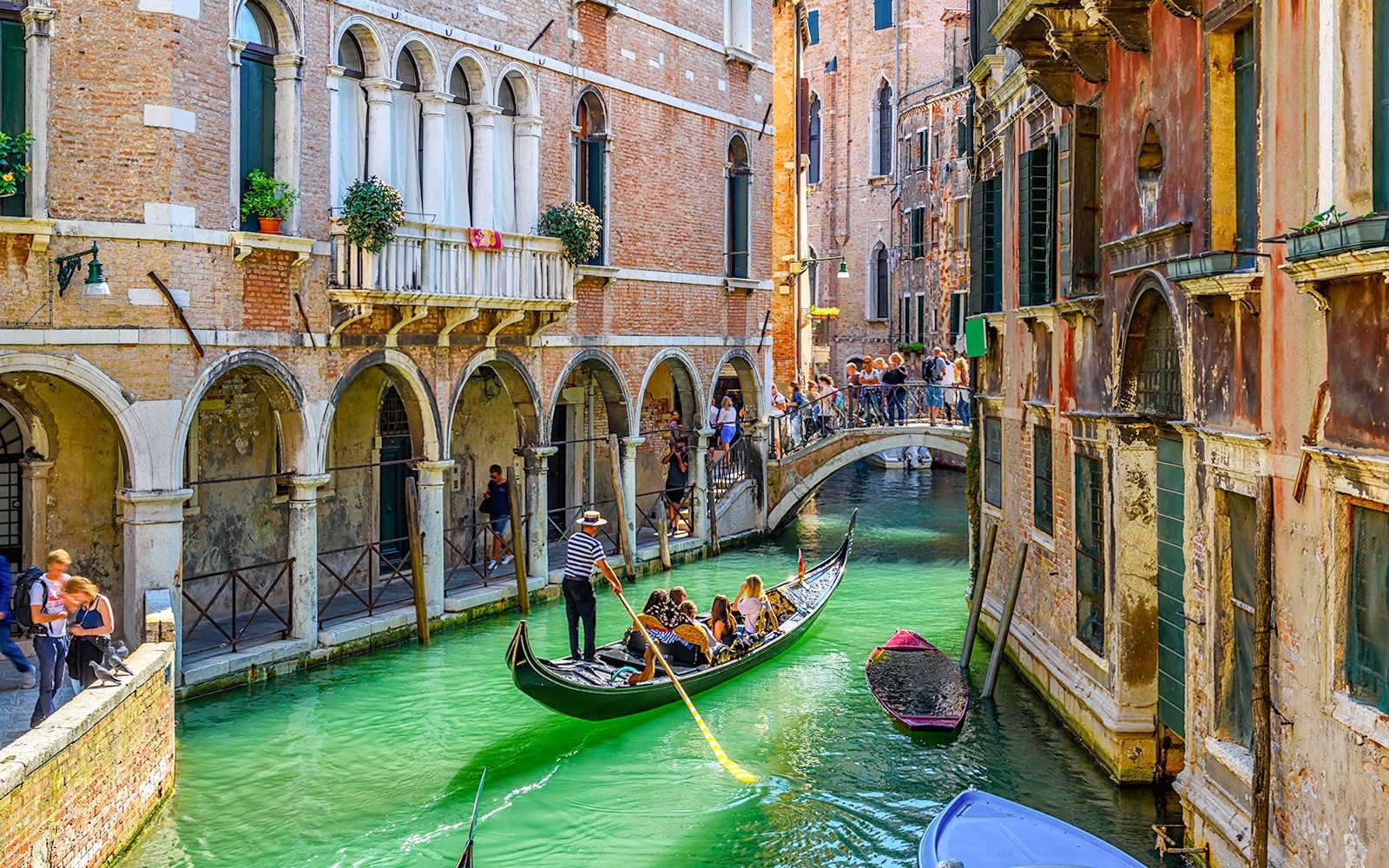 Khám phá Venice trong một ngày: St. Mark’s, Cung điện Doge’s, Murano & Burano kèm chuyến đi Gondola