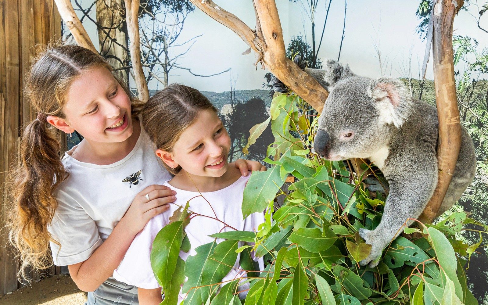 Lawatan Pergunungan Blue dengan Scenic World & Zoo Sydney