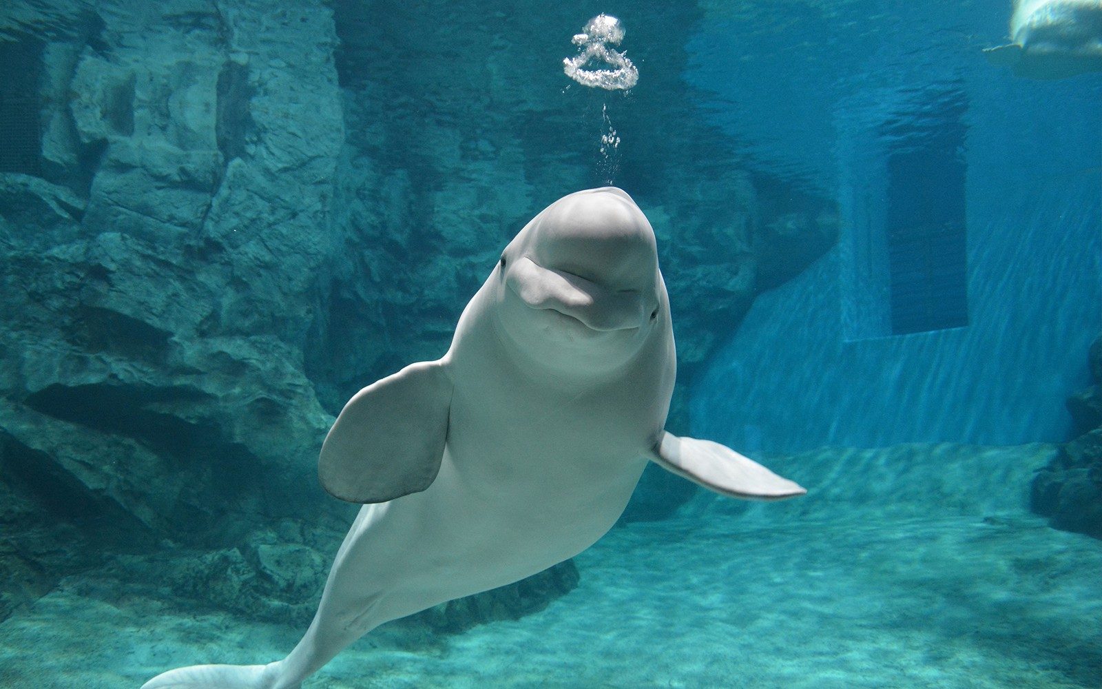 Tickets to Port of Nagoya Public Aquarium