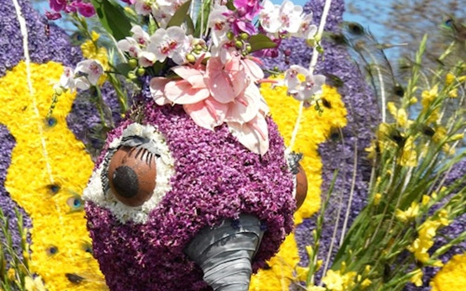 Keukenhof & Flower Parade: Day Tour from Amsterdam + Lunch