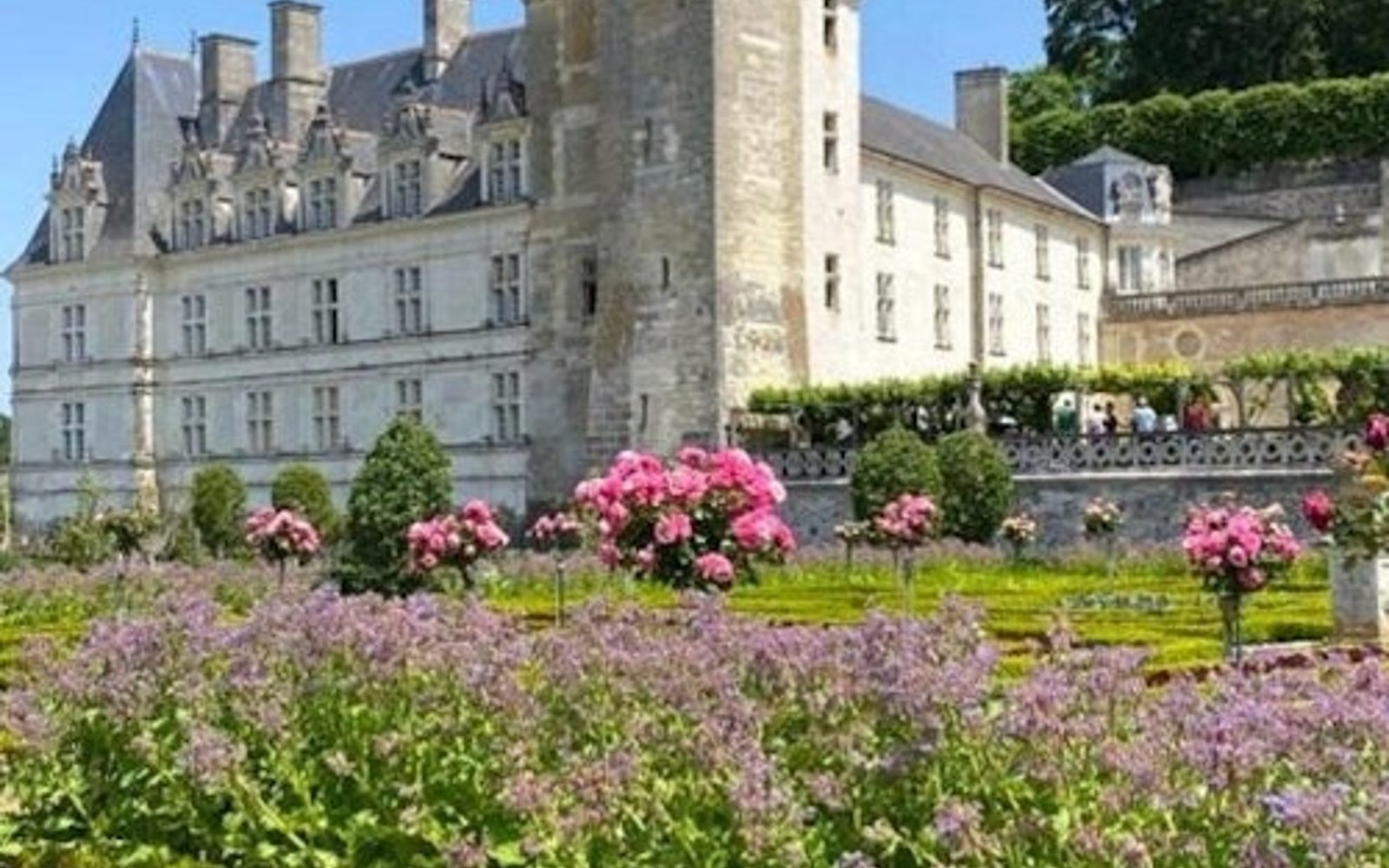 Château d'Azay-le-Rideau & Gardens of Villandry: Guided Trip from Tours