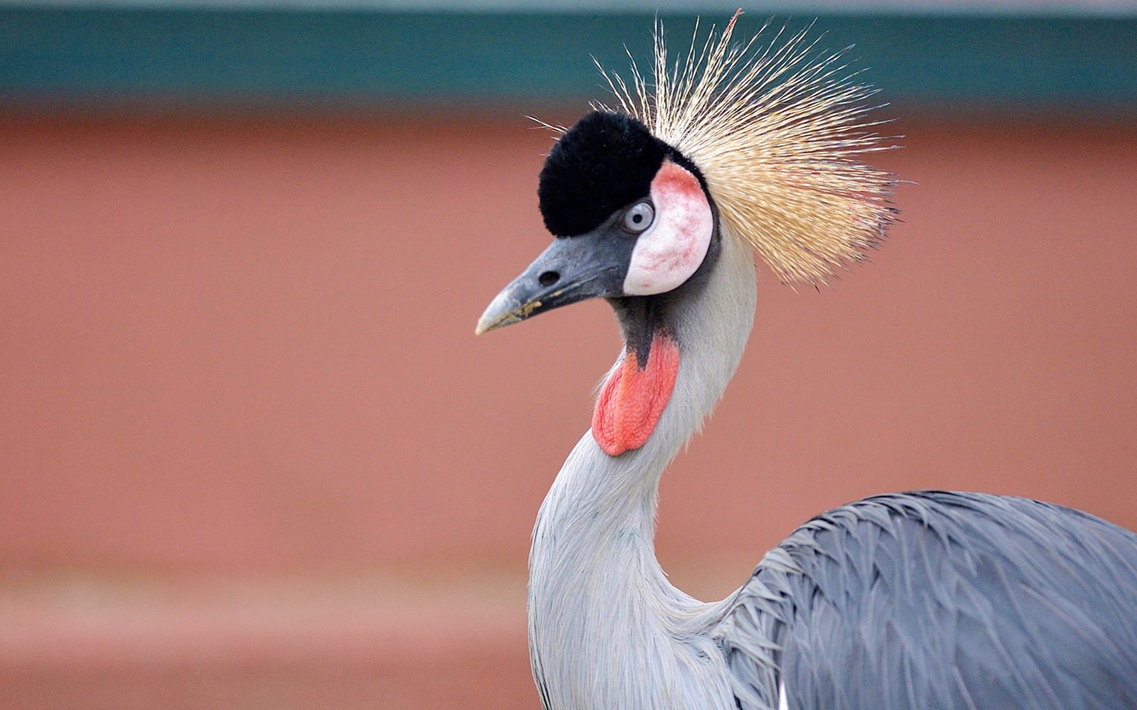 Langkawi Wildlife Park Tickets