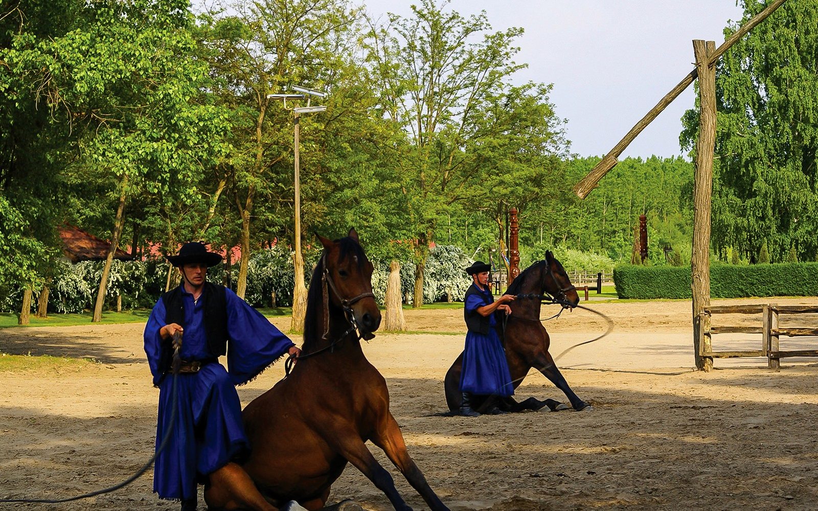 Excursie de o zi în Puszta la Kecskemét din Budapesta, inclusiv Spectacol Ecvestru și Prânz