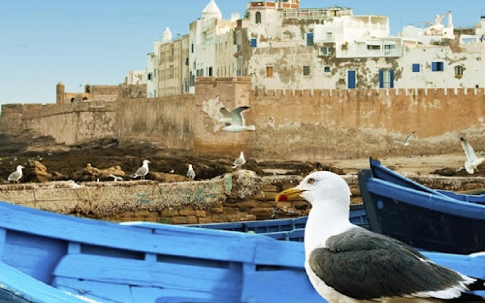Essaouira: Guided Day Tour + Pickup from Marrakech