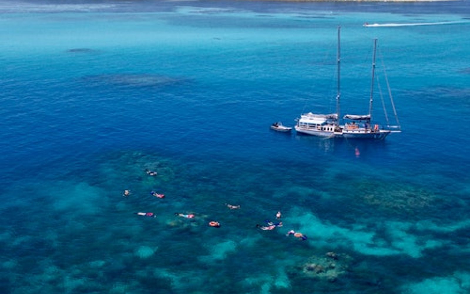 Caminhada, Vela e Mergulho com Snorkel: Tour na Grande Barreira de Corais e Ilha Verde
