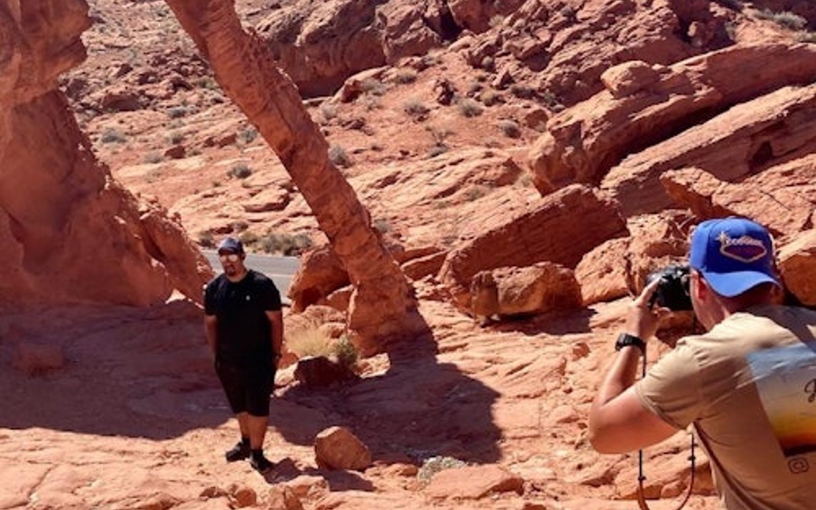 Valle de Fuego y Siete Montañas Mágicas: Tour de un día desde Las Vegas