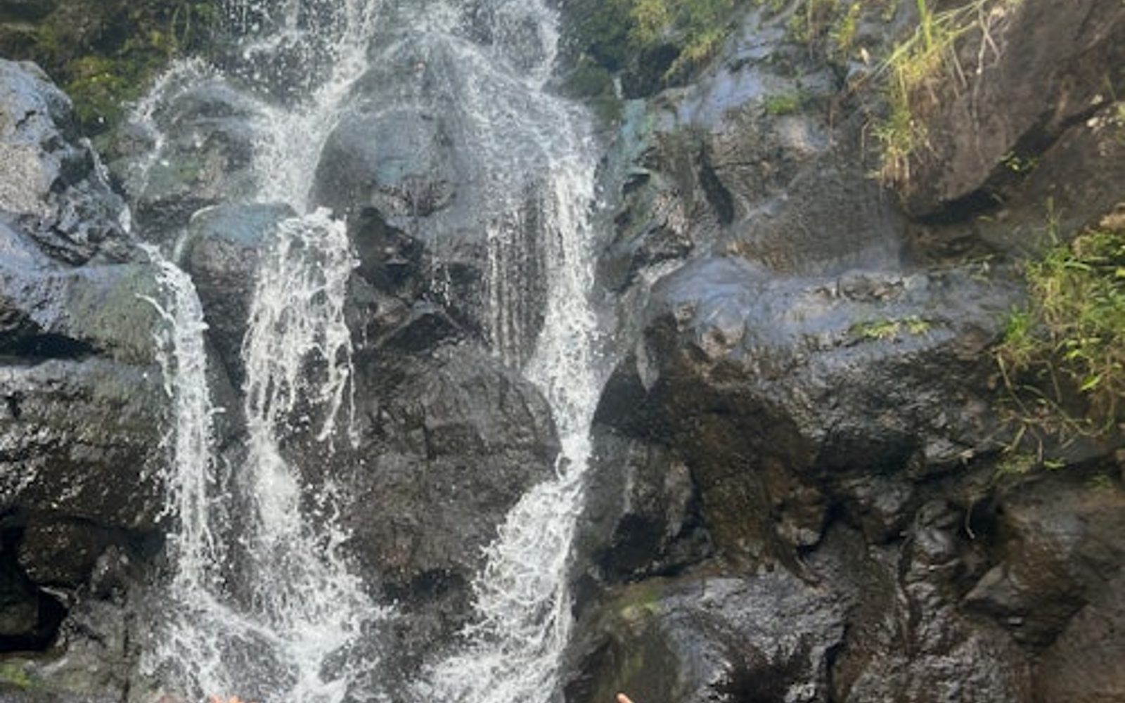 Waimea Valley: Rondleiding met Watervalwandeling & Zwemtocht vanuit Waikiki
