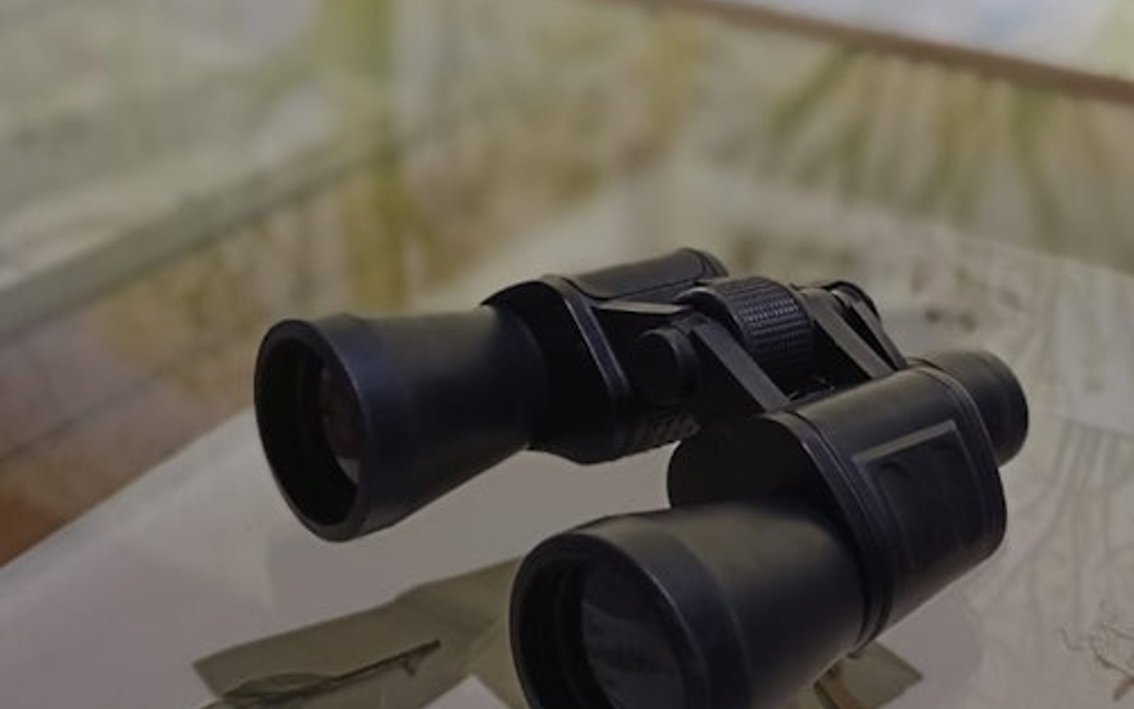 RADICI. Piccolo Museo della Natura: Entry Ticket + Self-Guided Tour