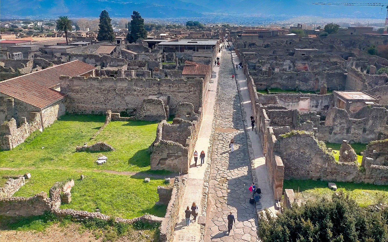 Z Neapolu: Wycieczka z przewodnikiem po Pompejach z opcjonalną wizytą w Herkulanum lub na Wezuwiuszu