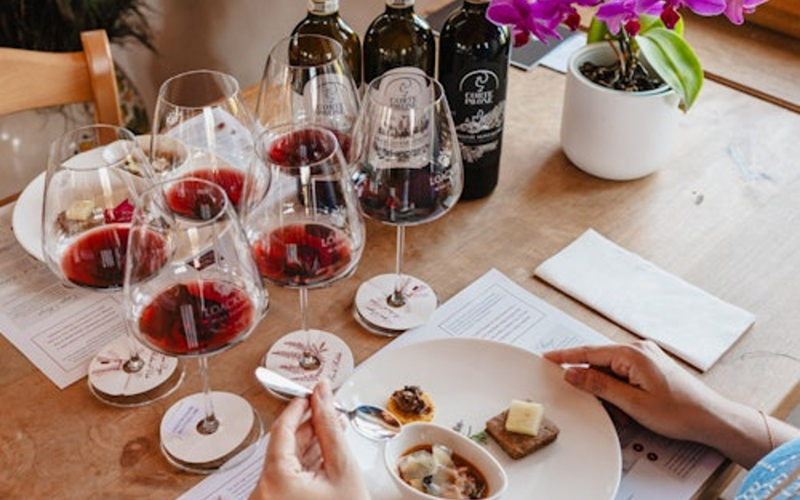 Corte Pavone Winery Estate: Montalcino Wine Tasting + Gourmet Bites