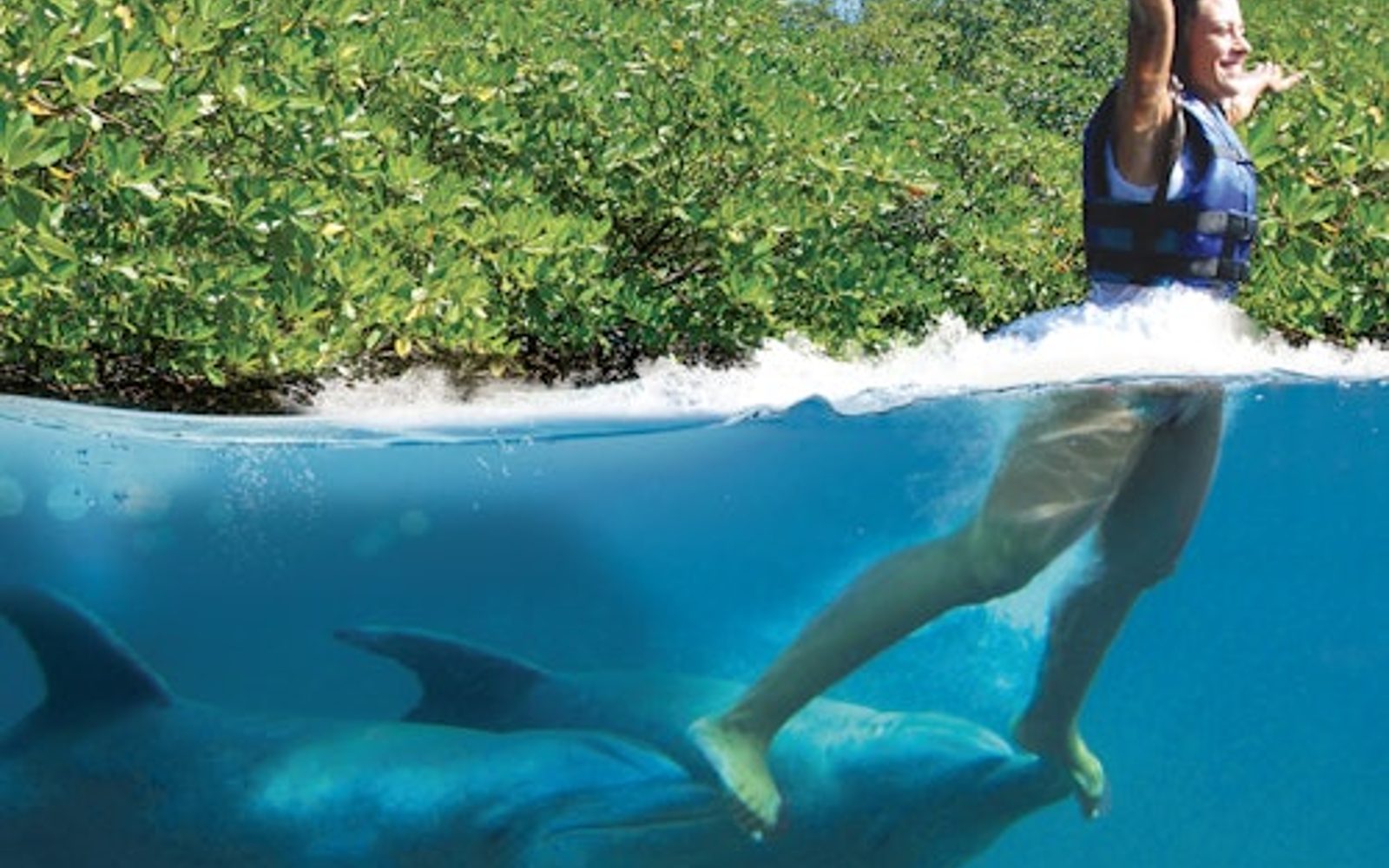 Delphinus Xcaret: Eintrittskarte + Transfer + Schwimmen mit Delfinen