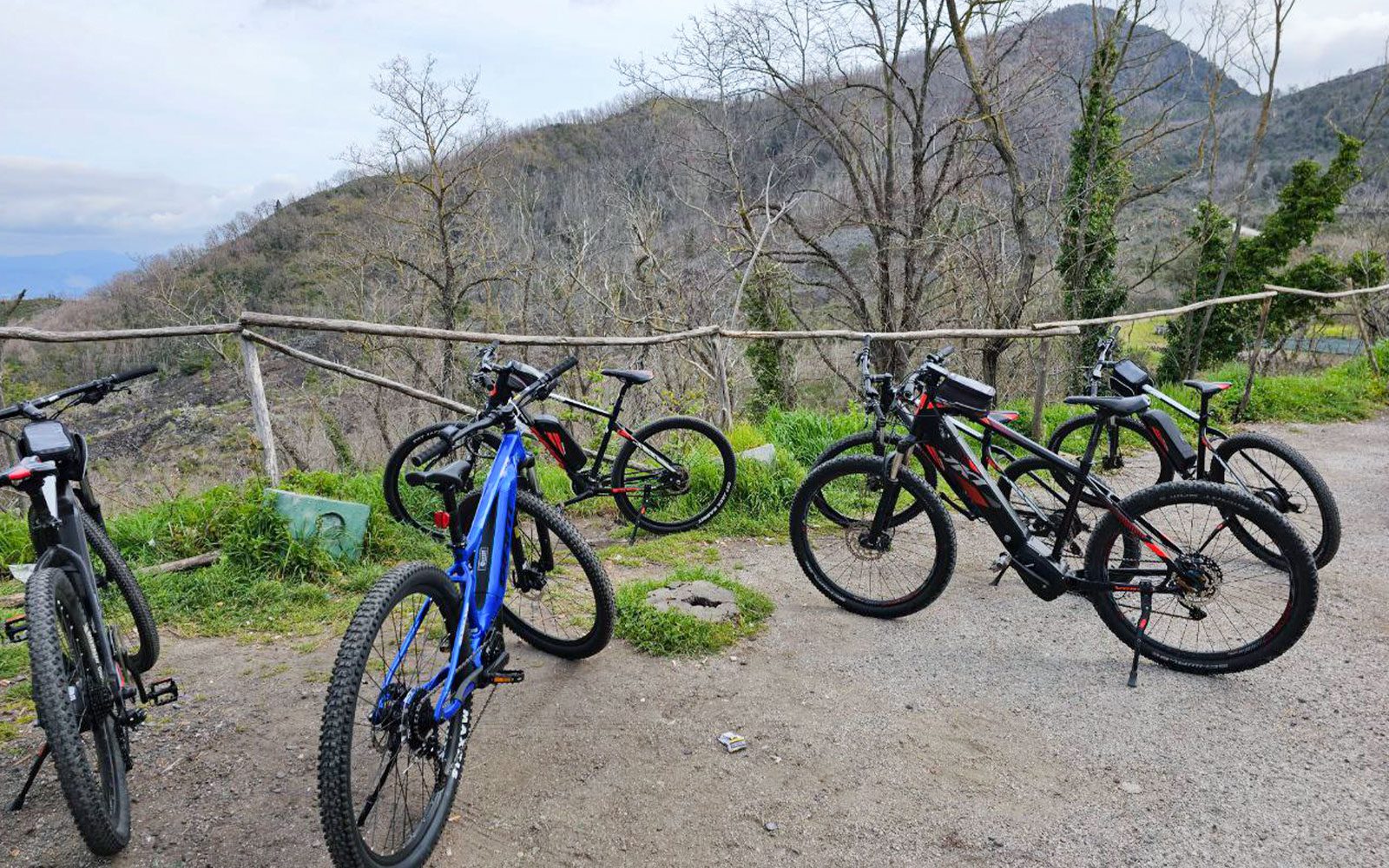 From Sorrento: Mount Vesuvius Guided E-Bike Tour