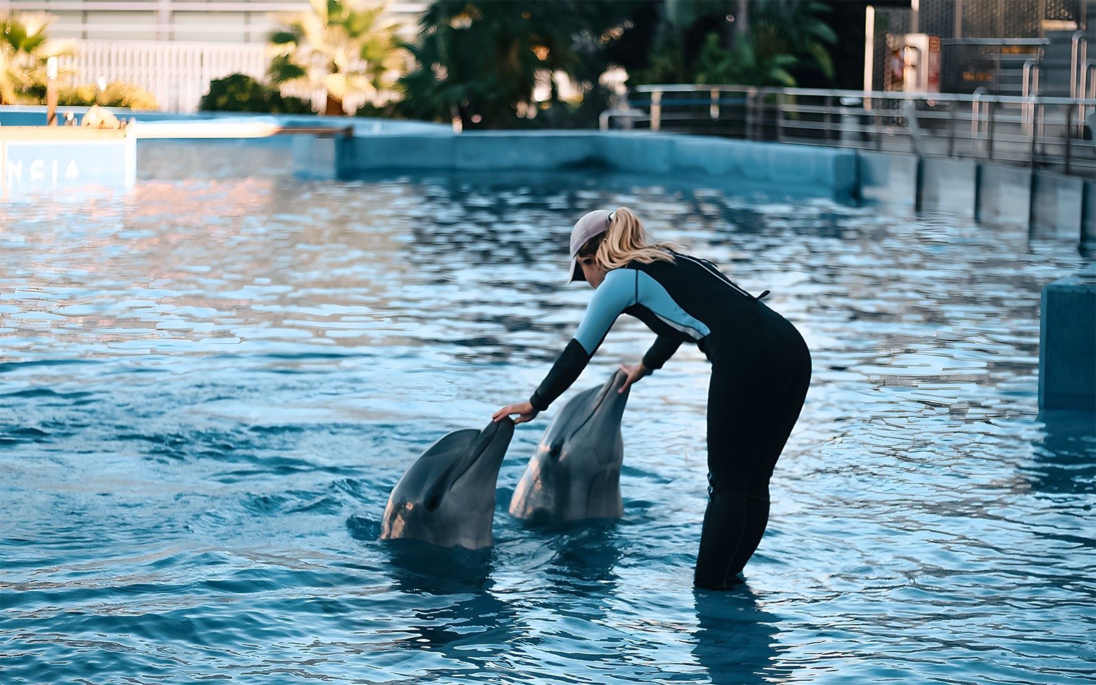 Combo: Oceanogràfic + Hemisfèric Tickets
