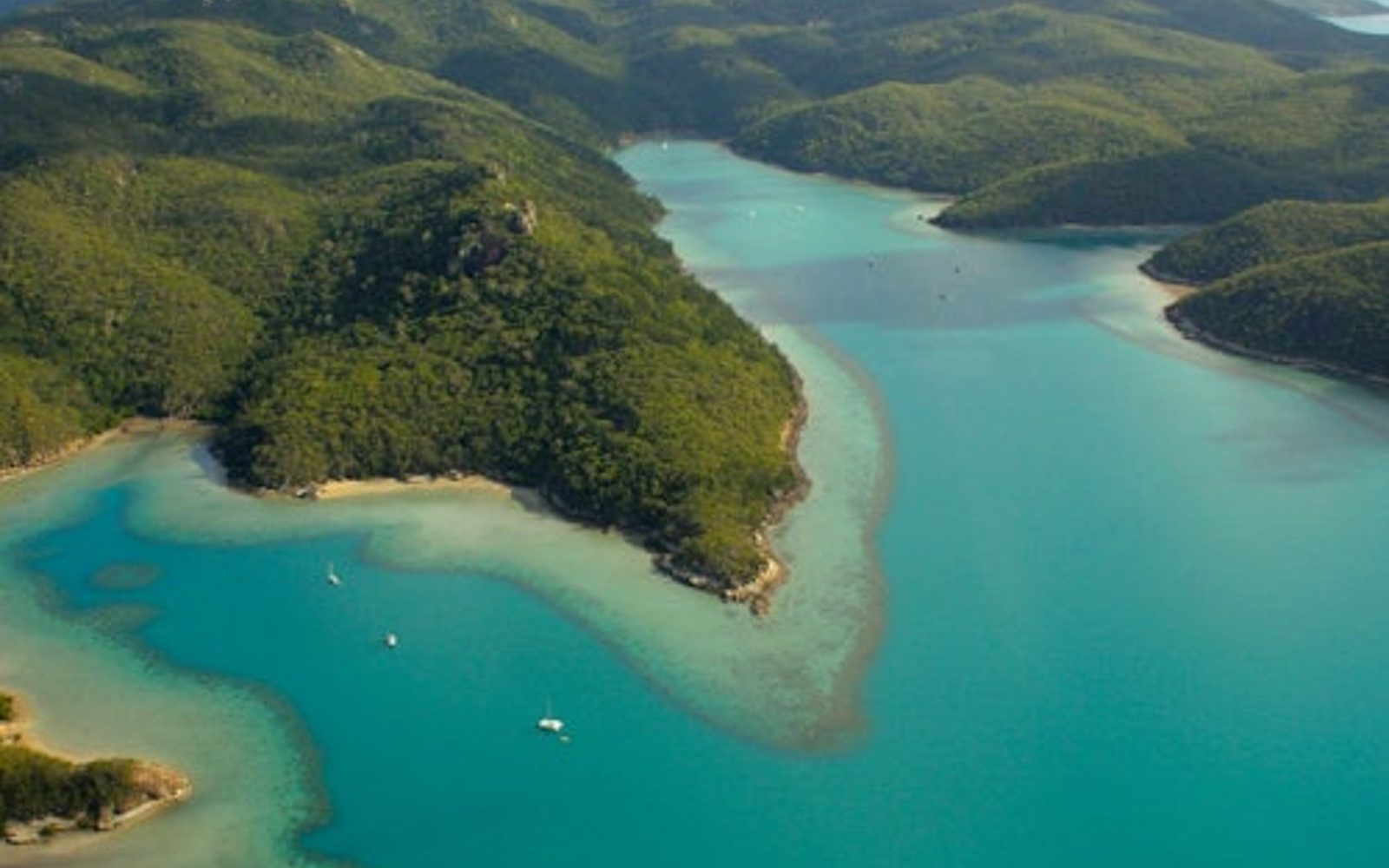 Illot Hook: Excursió amb vaixell des d'Airlie Beach + Snorkel + Dinar