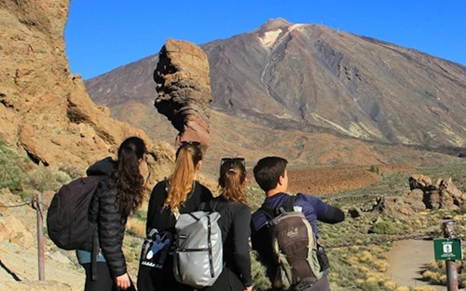 Tenerife: Half-Day Guided Tour sa Teide National Park