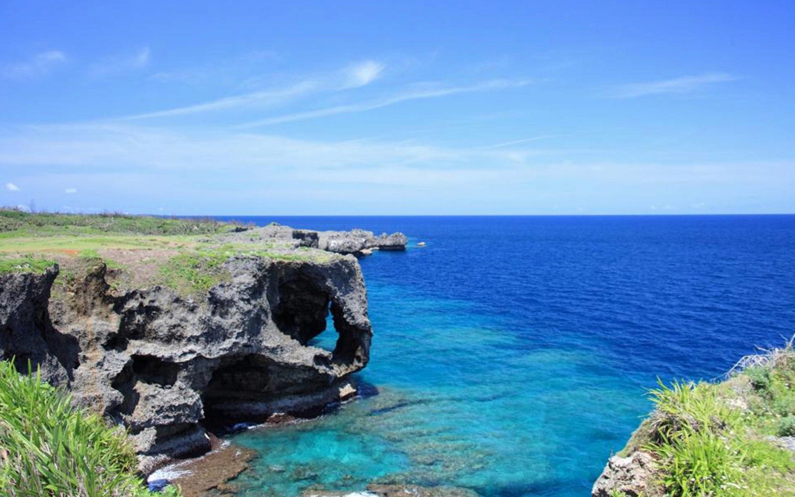 Tour Xe Buýt Hip Hop Okinawa: Thủy Cung Churaumi, Đảo Kouri, Mũi Manza, Công Viên Dứa Nago
