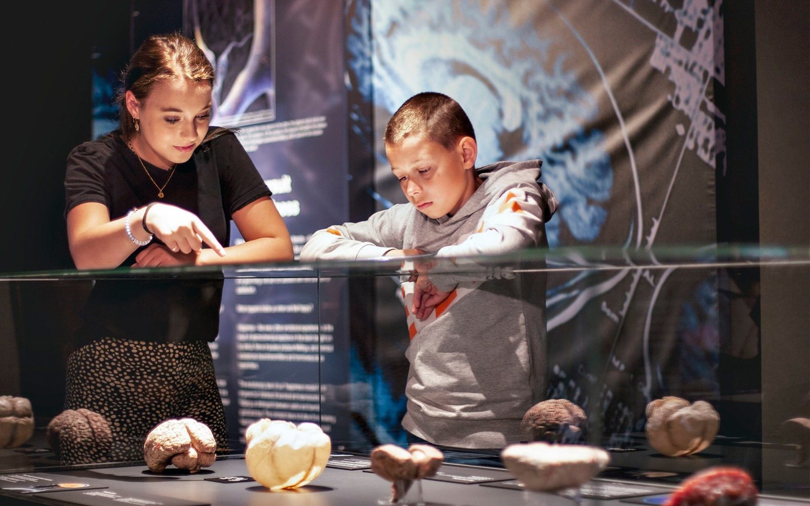 Body Worlds Amsterdam: Das Glücksprojekt Direktzugang-Tickets