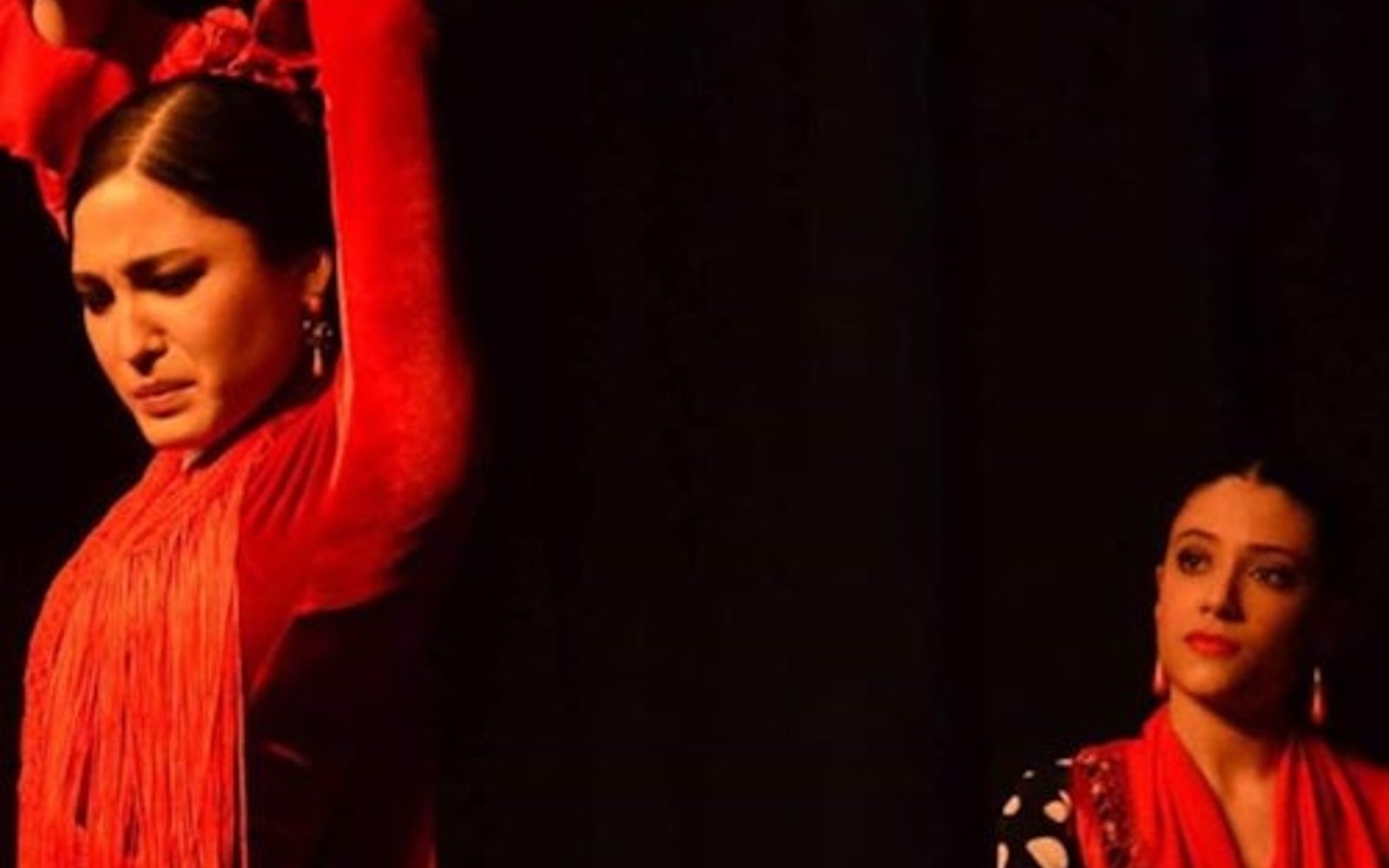 Siviglia: Lezione di Danza Flamenca
