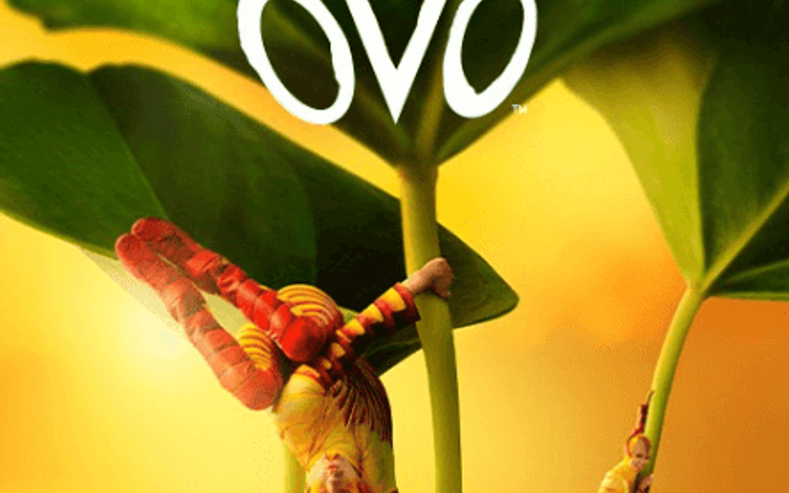 太陽馬戲團 OVO