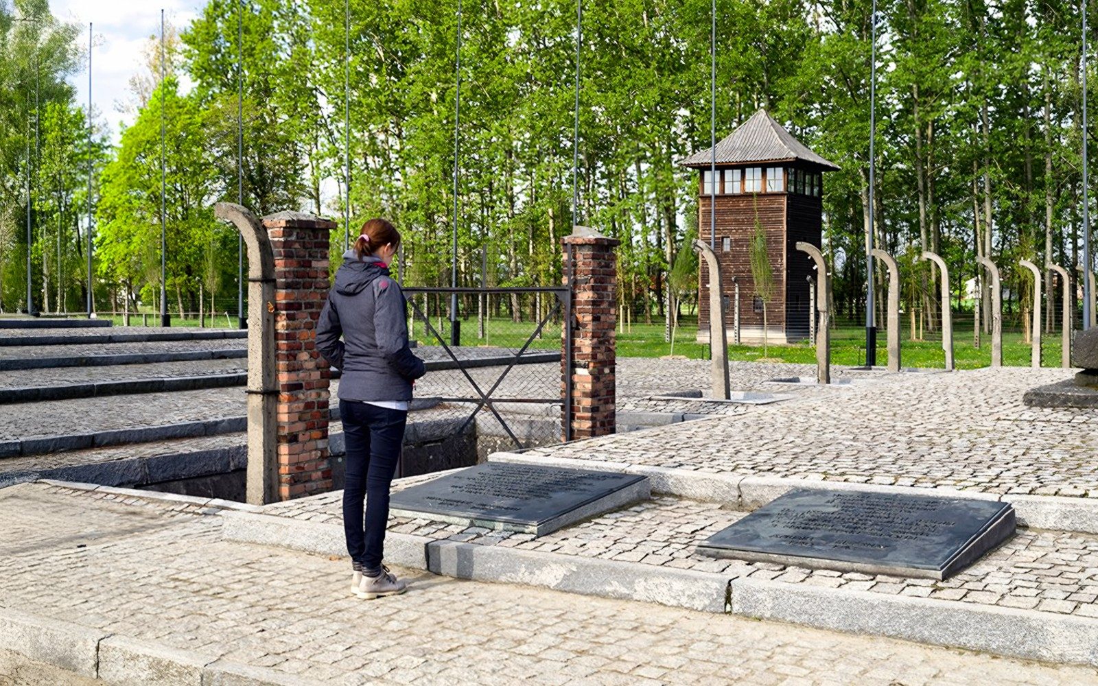 Z Katowic: Prohlídka Auschwitz-Birkenau s průvodcem včetně transferů