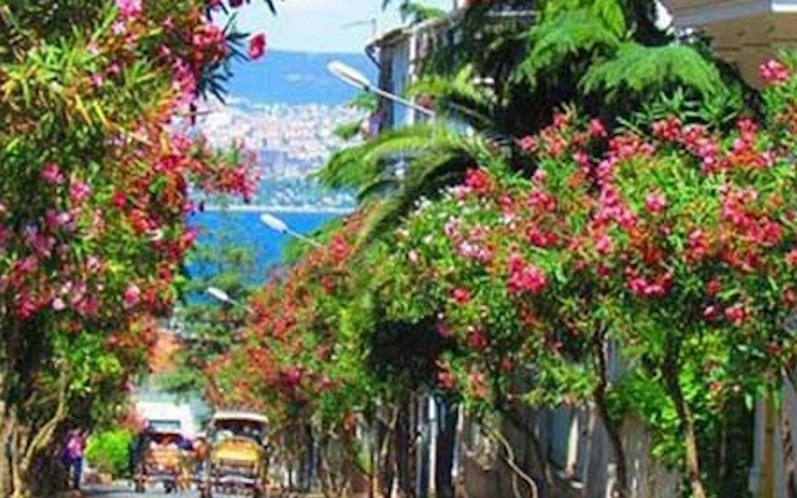 Istanbul: Prince's Island Tour + Lunch and 2 Islands