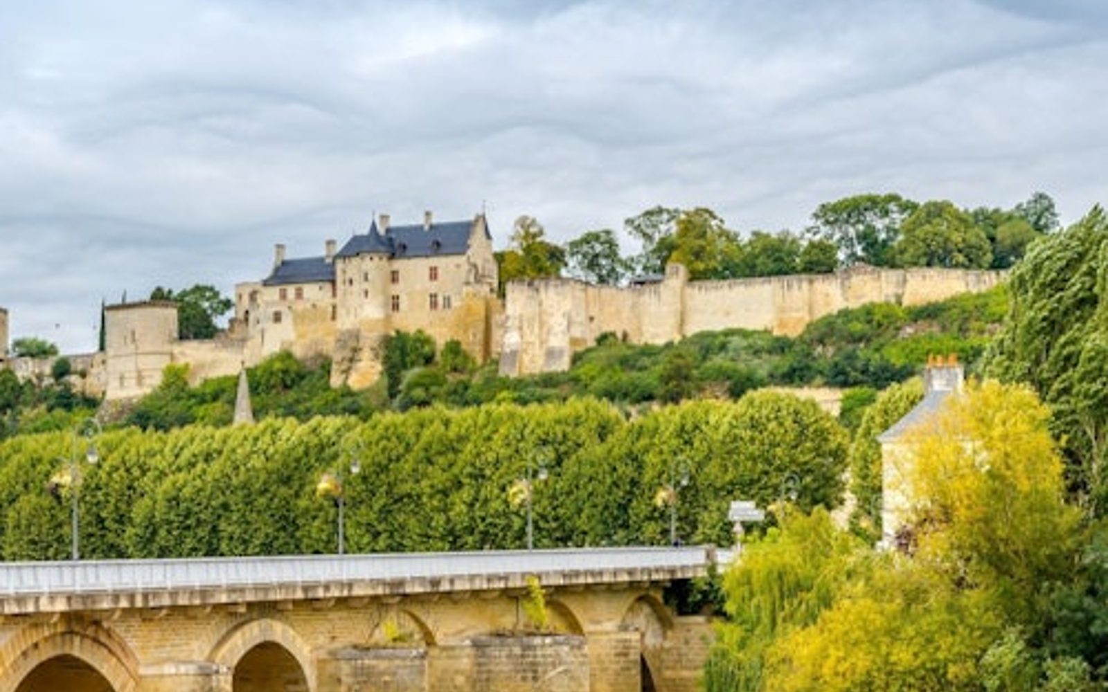 Loire Valley: Guided Chinon & Bourgueil Vineyards Tour from Tours + Wine Tasting