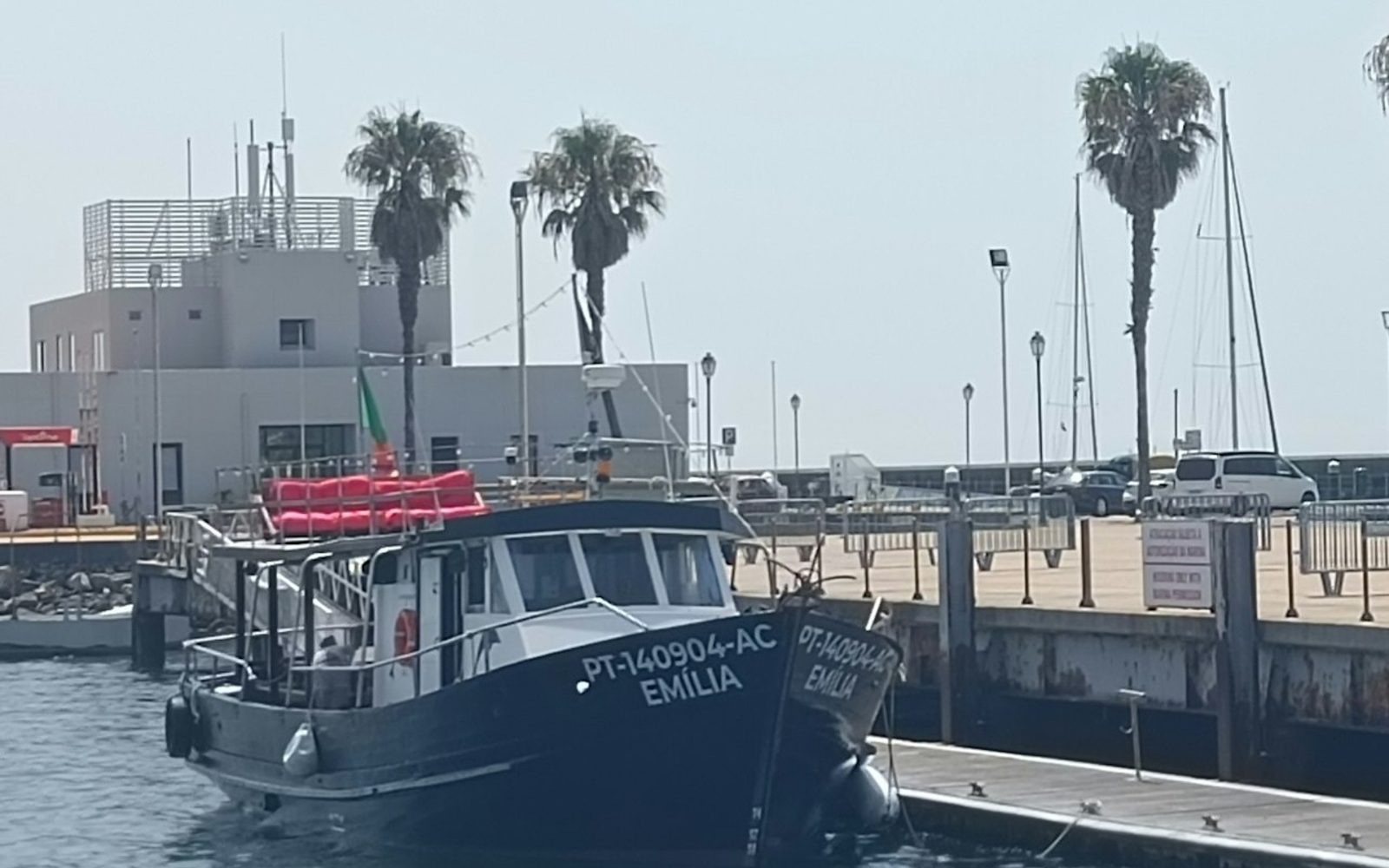 Cascais: Guided Coastal Cruise + Drinks