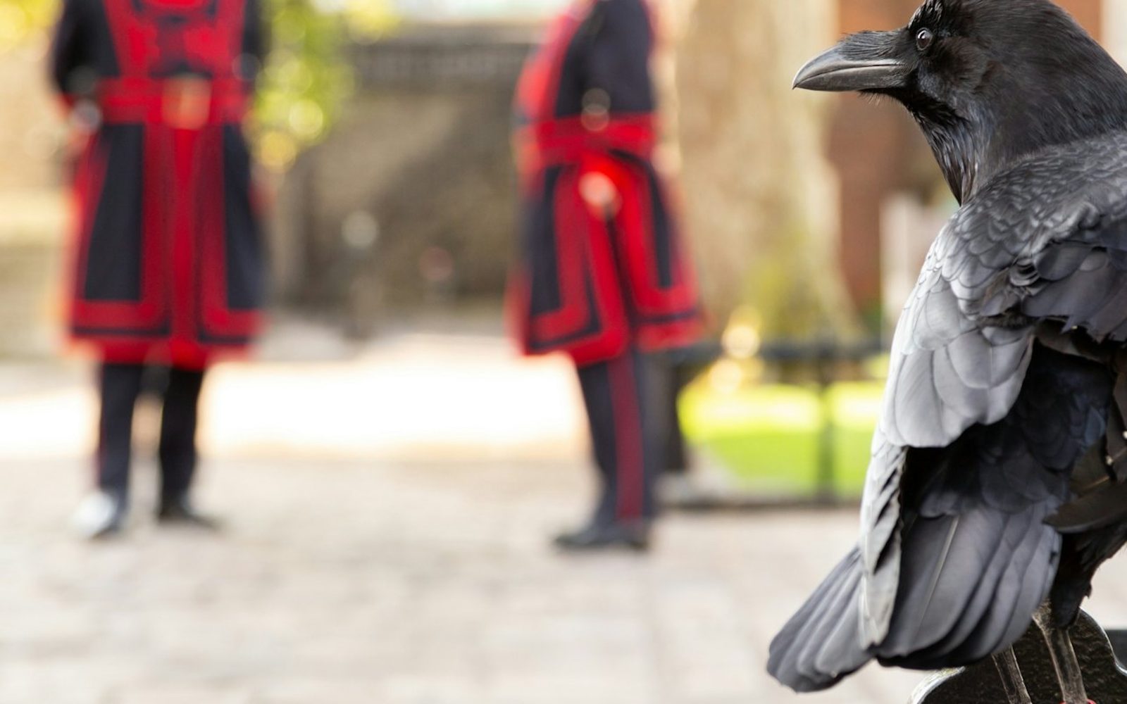 Tower of London: Guided Tour with a Beefeater