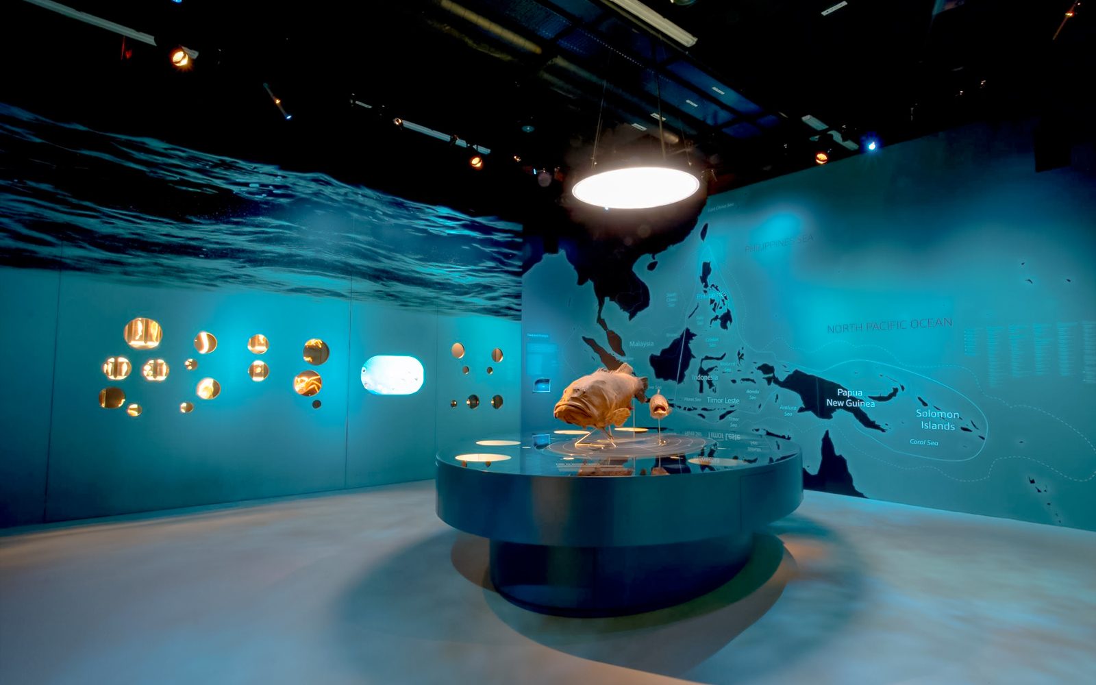Lee Kong Chian Natural History Museum Tickets
