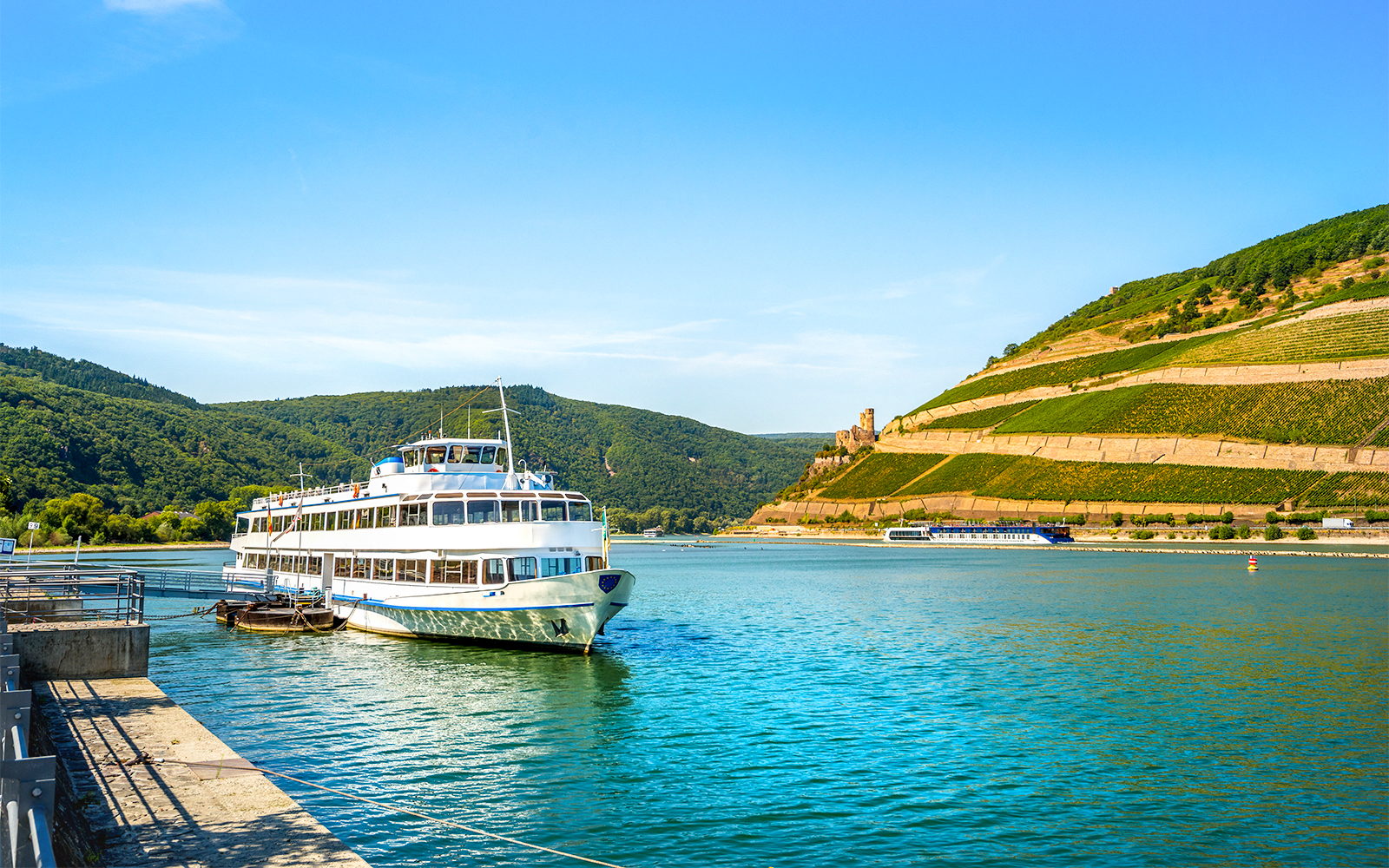 From Frankfurt: Full Day Rhine Valley Tour