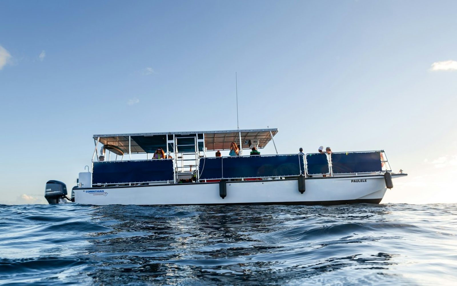 Turtle Canyon: Snorkel Tour