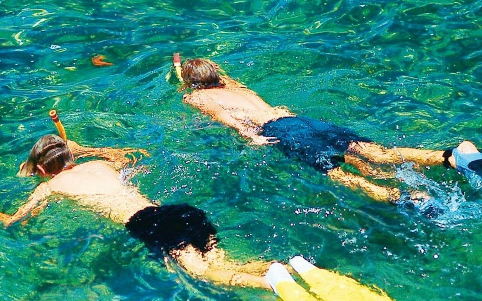 Palma de Mallorca: 2-Hr Catamaran Cruise + Swimming & Snorkeling