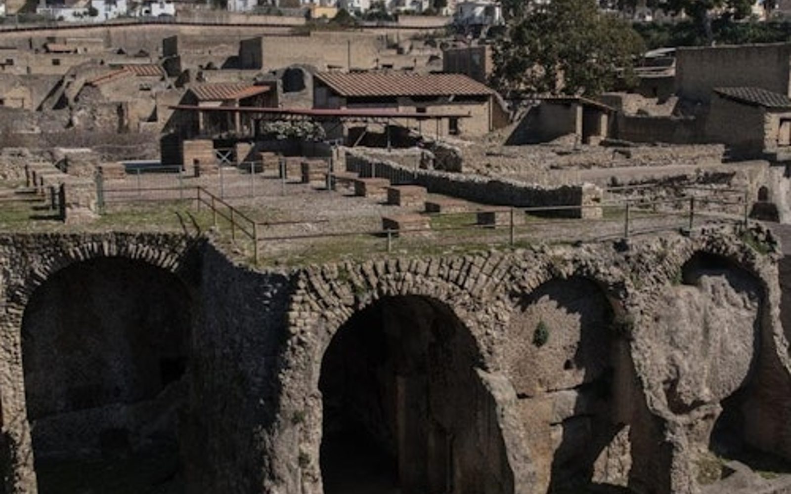 Herculaneum: Entry Ticket