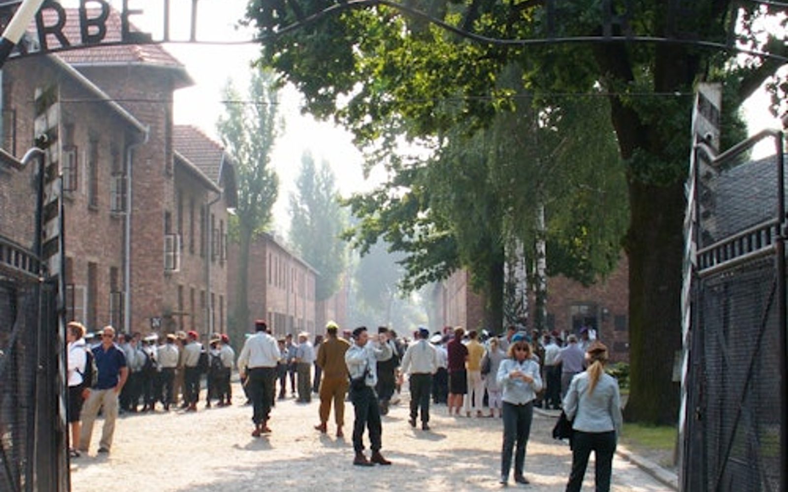 Auschwitz-Birkenau: Guided Tour + Transport + Lunch
