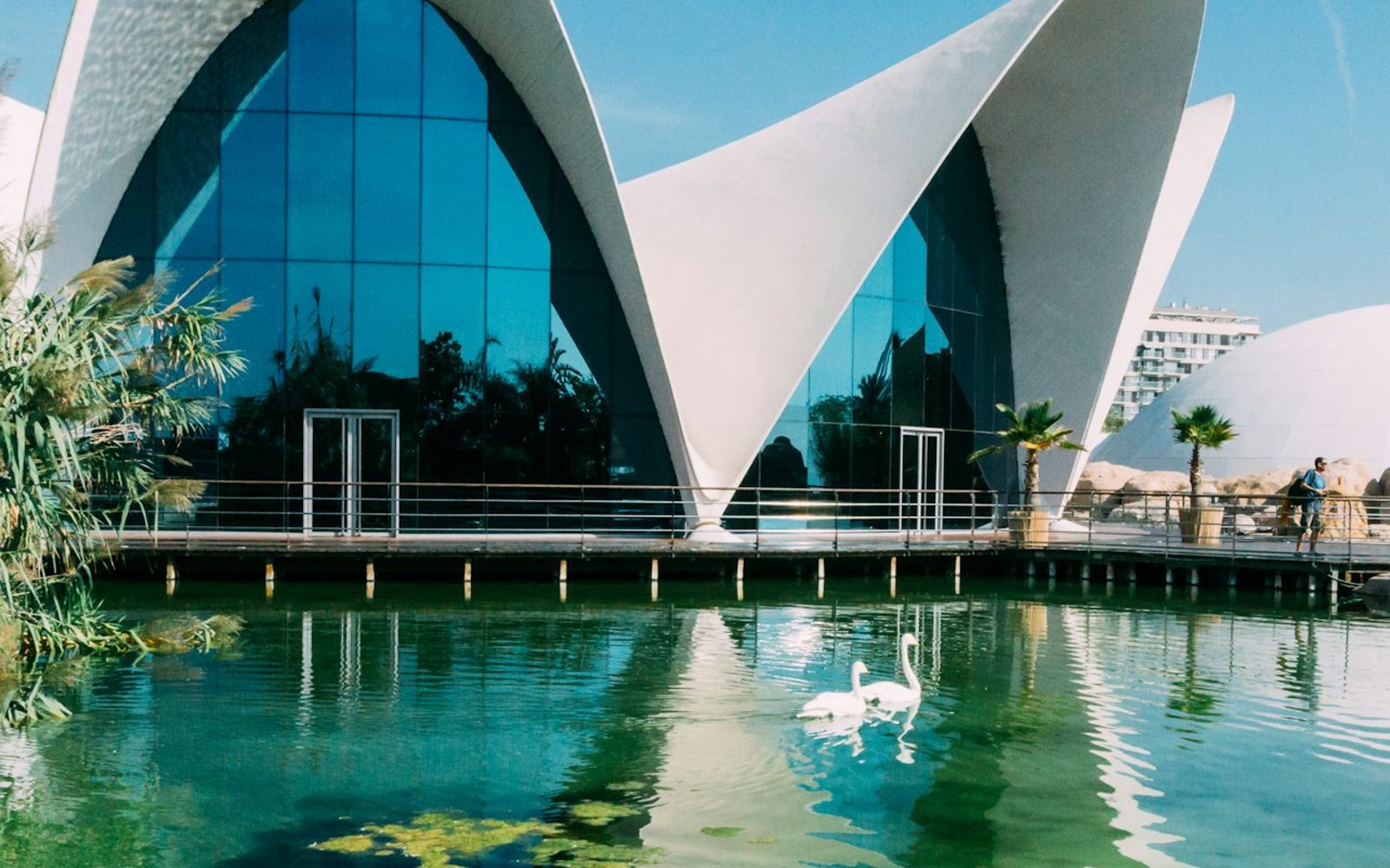 Valencia: Art & Science Pass