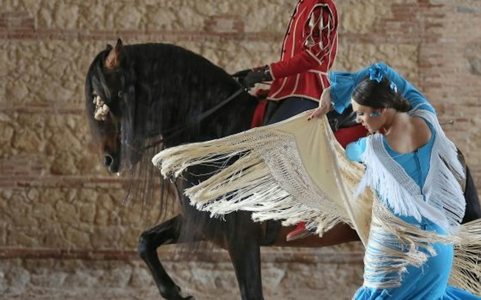 Equestrian Show 'Passion and Spirit of the Andalusian Horse'